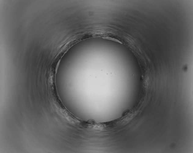 X0000116390282200912161531