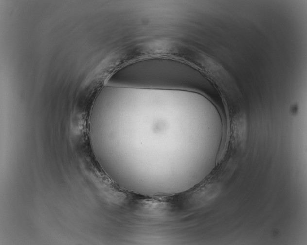 X0000116390284200912161531