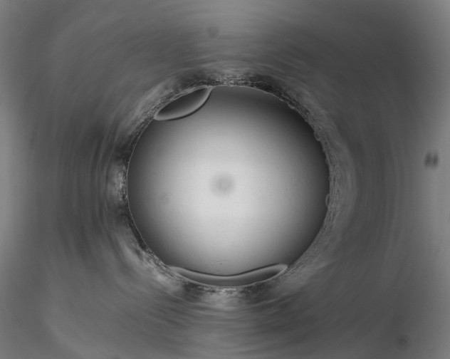 X0000116390288200912161531