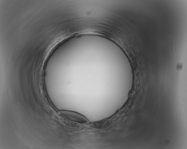 X0000116390289200912161531