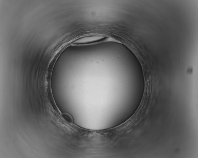 X0000116390290200912161531