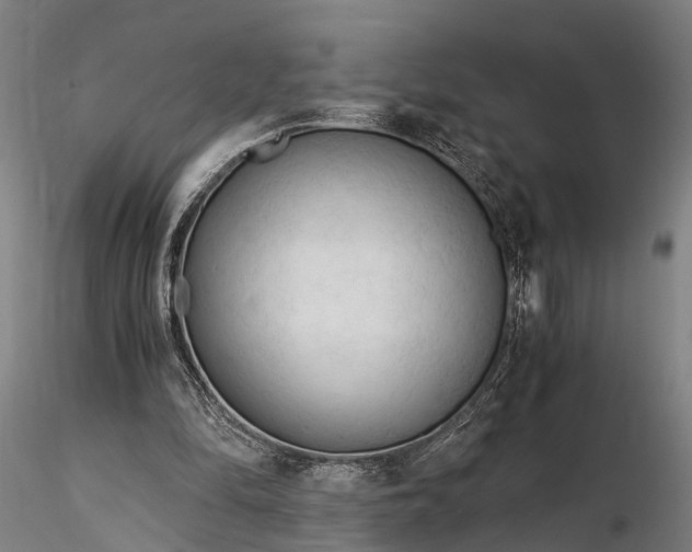 X0000116390294200912161530