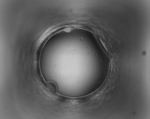 X0000116390295200912161530