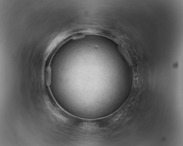 X0000116390296200912161530