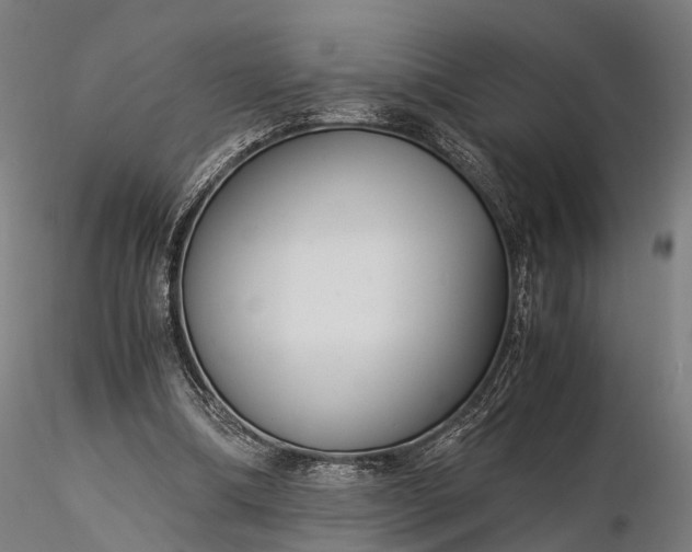 X0000116390298200912161530