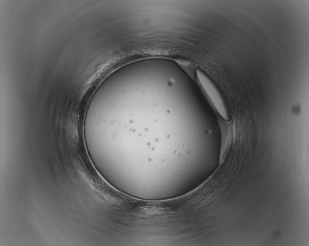 X0000116390300200912161530