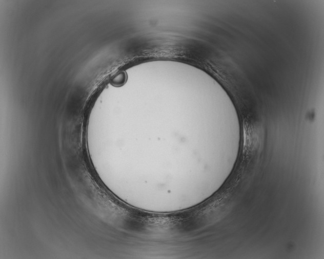X0000116390301200912161530