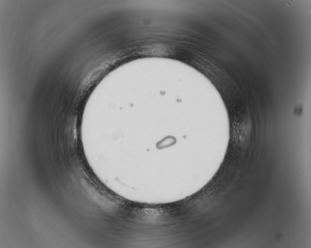 X0000116390302200912161530