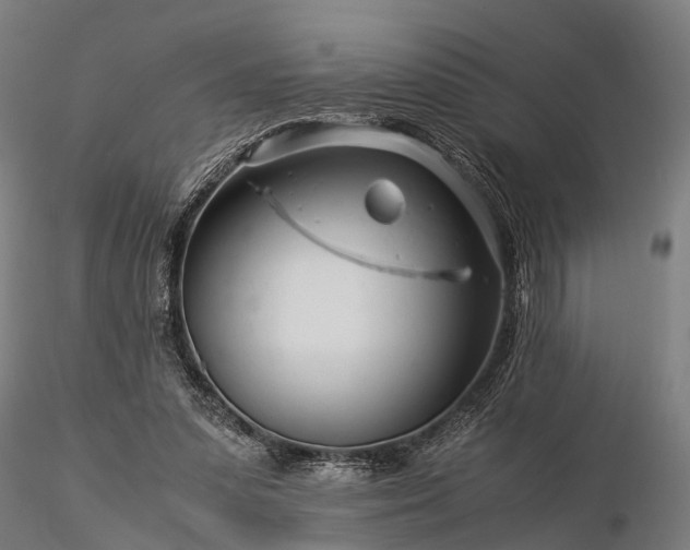 X0000116390303200912161530
