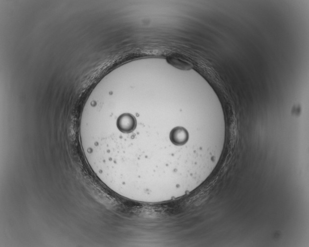 X0000116390305200912161530