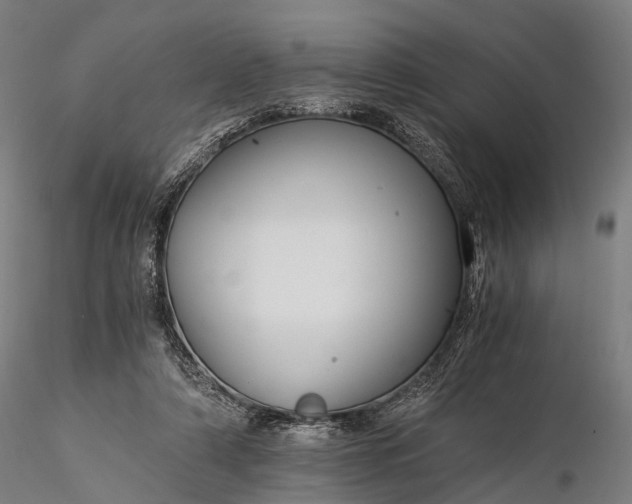 X0000116390306200912161530