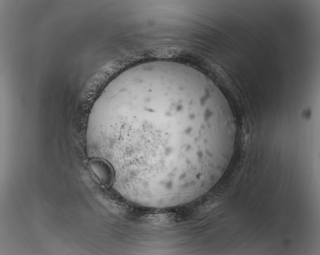 X0000116390307200912161530