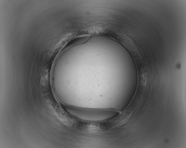 X0000116390308200912161530