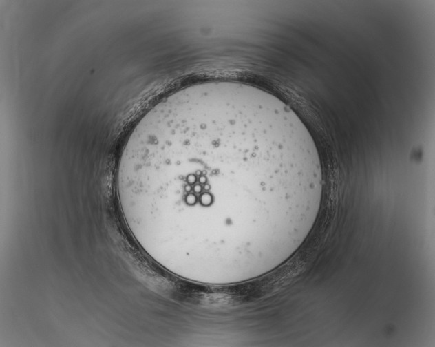 X0000116390309200912161530