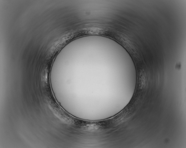 X0000116390310200912161530
