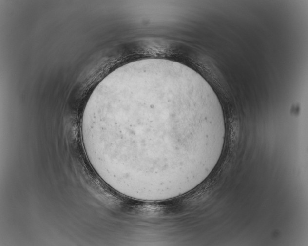 X0000116390313200912161530