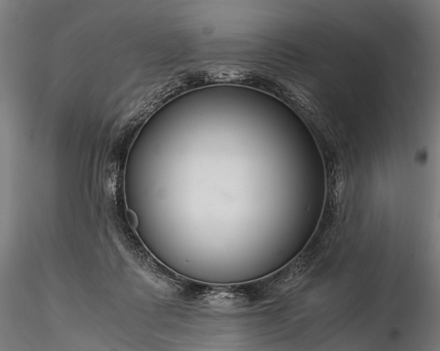 X0000116390315200912161530