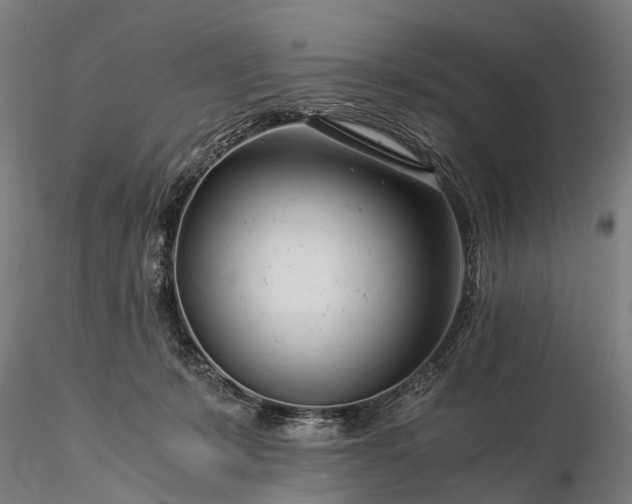 X0000116390319200912161530