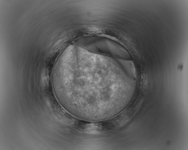 X0000116390320200912161530