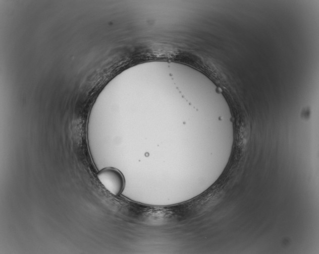 X0000116390321200912161530