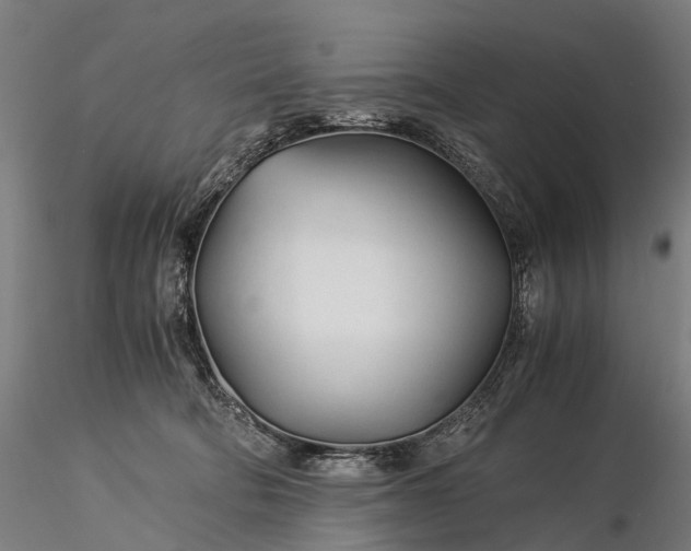 X0000116390322200912161530