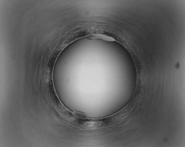 X0000116390323200912161530