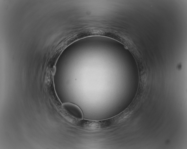 X0000116390325200912161530