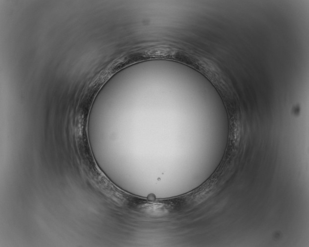 X0000116390326200912161530