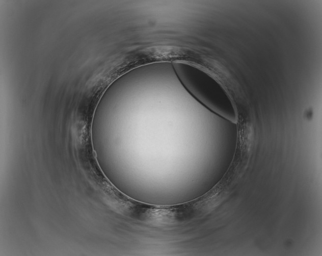 X0000116390327200912161530