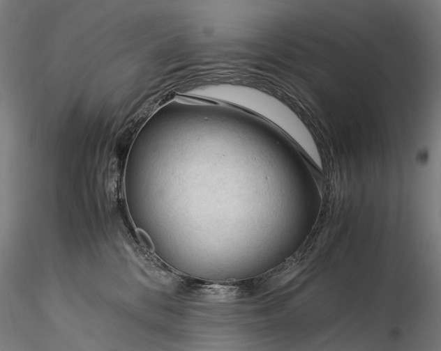 X0000116390328200912161530