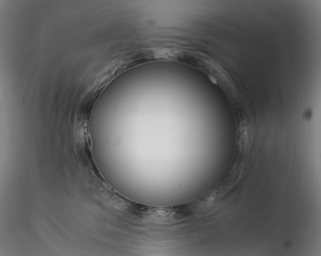 X0000116390329200912161530