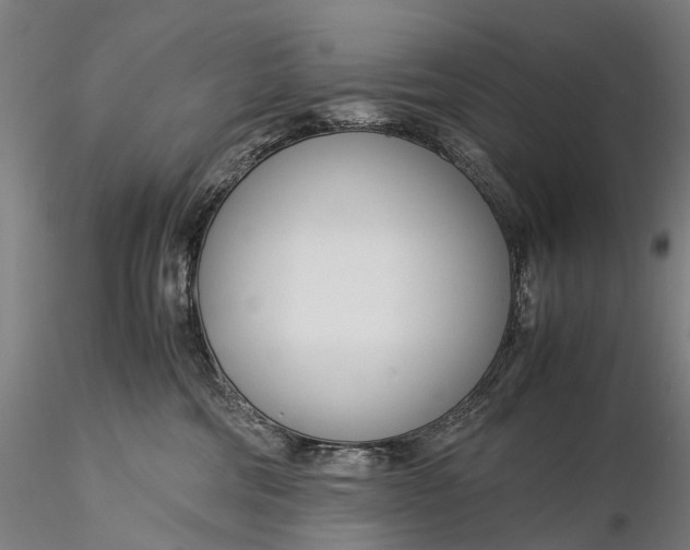 X0000116390330200912161530