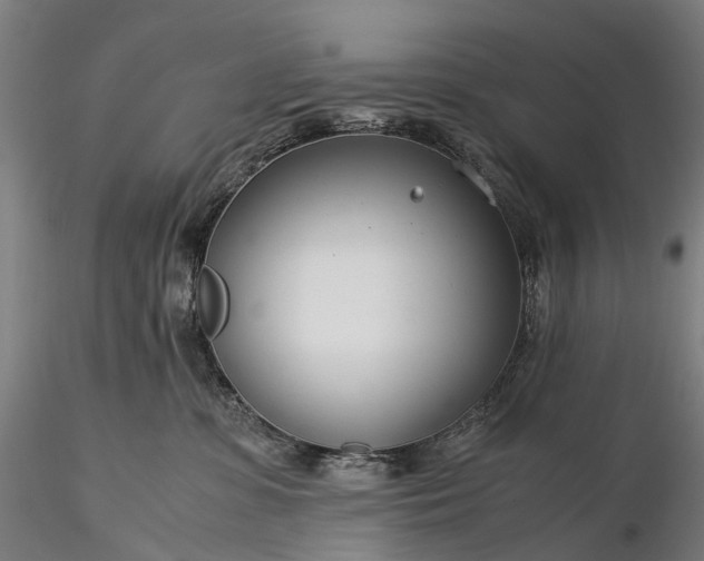 X0000116390331200912161530