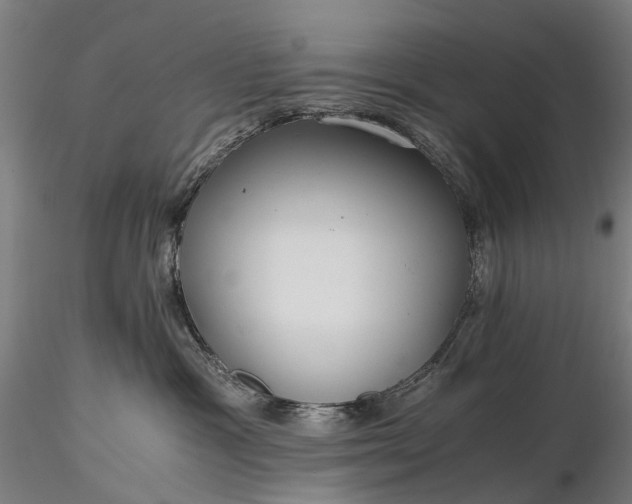 X0000116390333200912161530