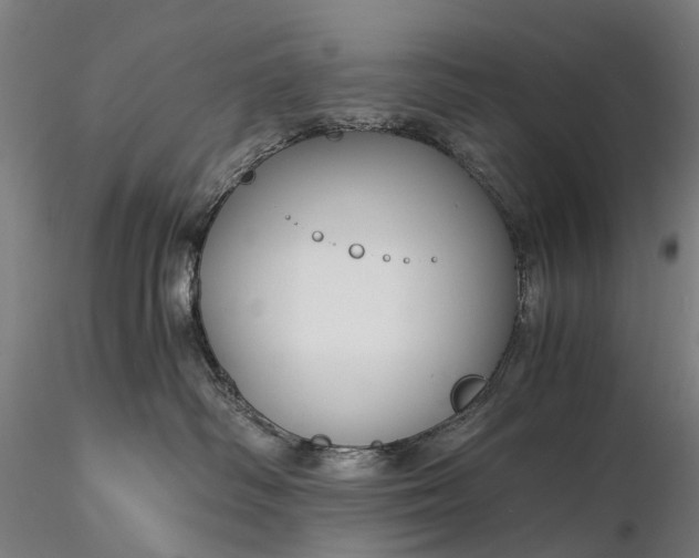 X0000116390334200912161530