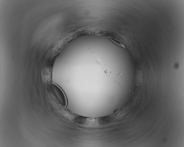 X0000116390335200912161530