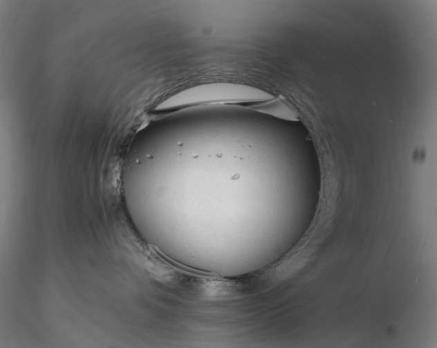 X0000116390336200912161530