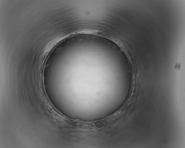 X0000116390337200912161529