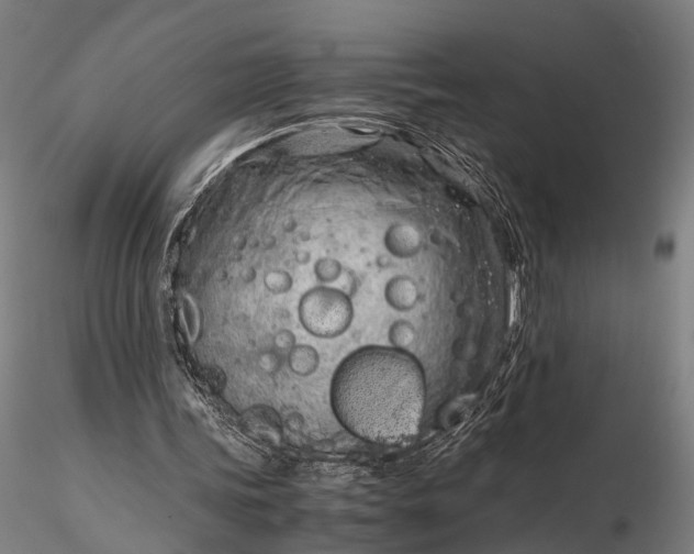 X0000116390339200912161529