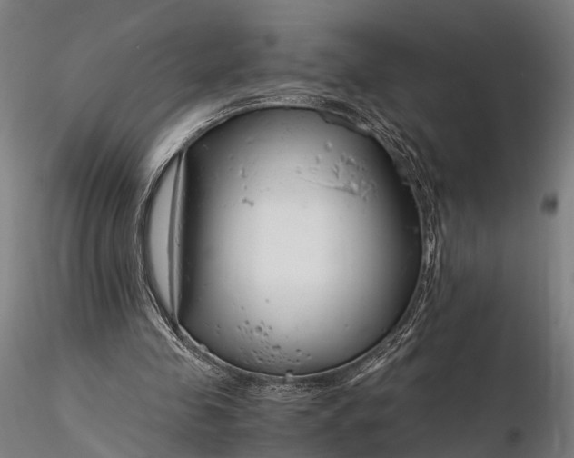 X0000116390341200912161529