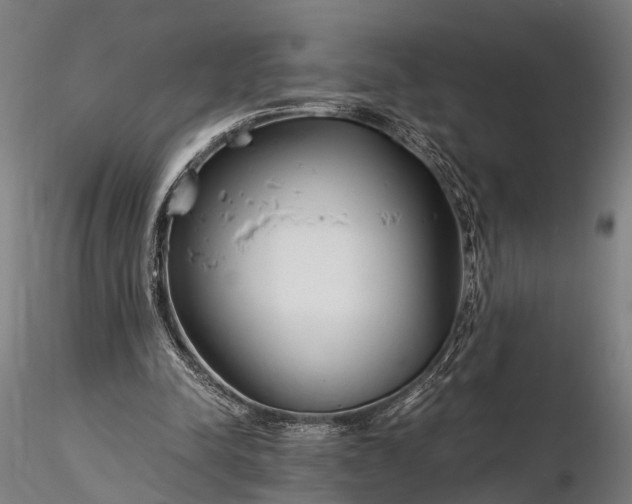 X0000116390342200912161529