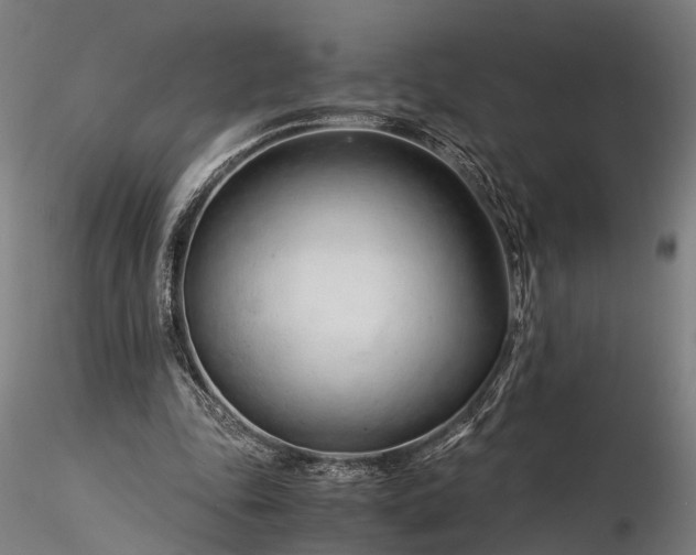 X0000116390343200912161529
