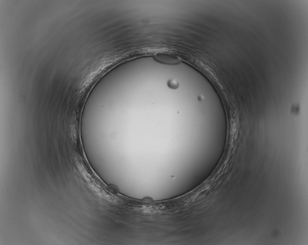 X0000116390345200912161529