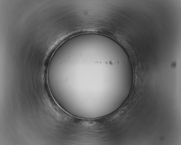 X0000116390346200912161529