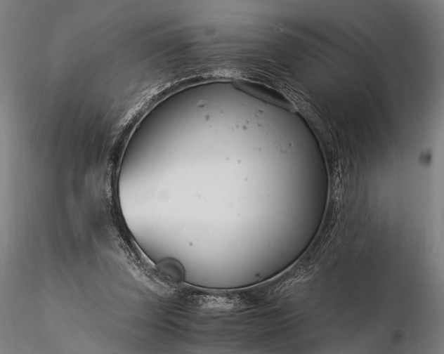 X0000116390347200912161529