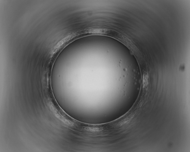 X0000116390349200912161529