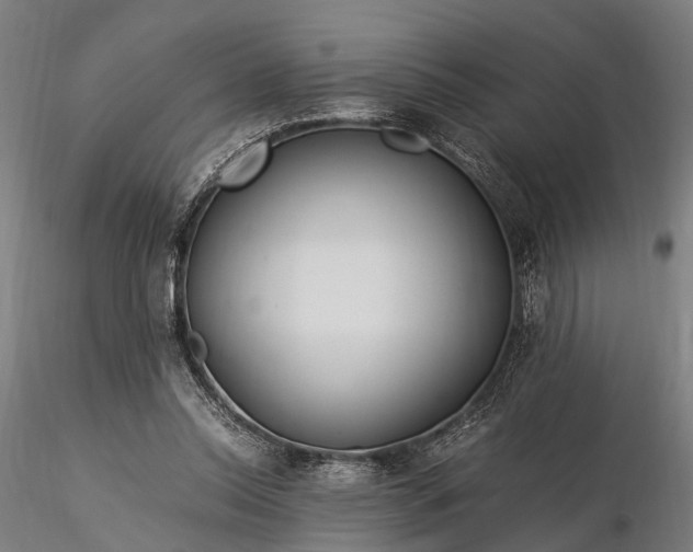 X0000116390350200912161529