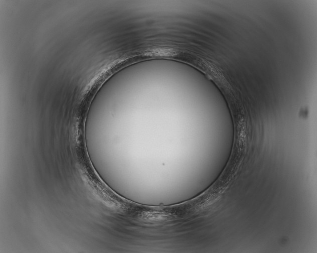 X0000116390351200912161529