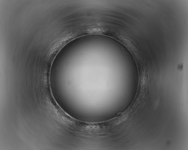 X0000116390353200912161529
