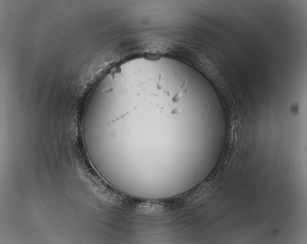 X0000116390354200912161529